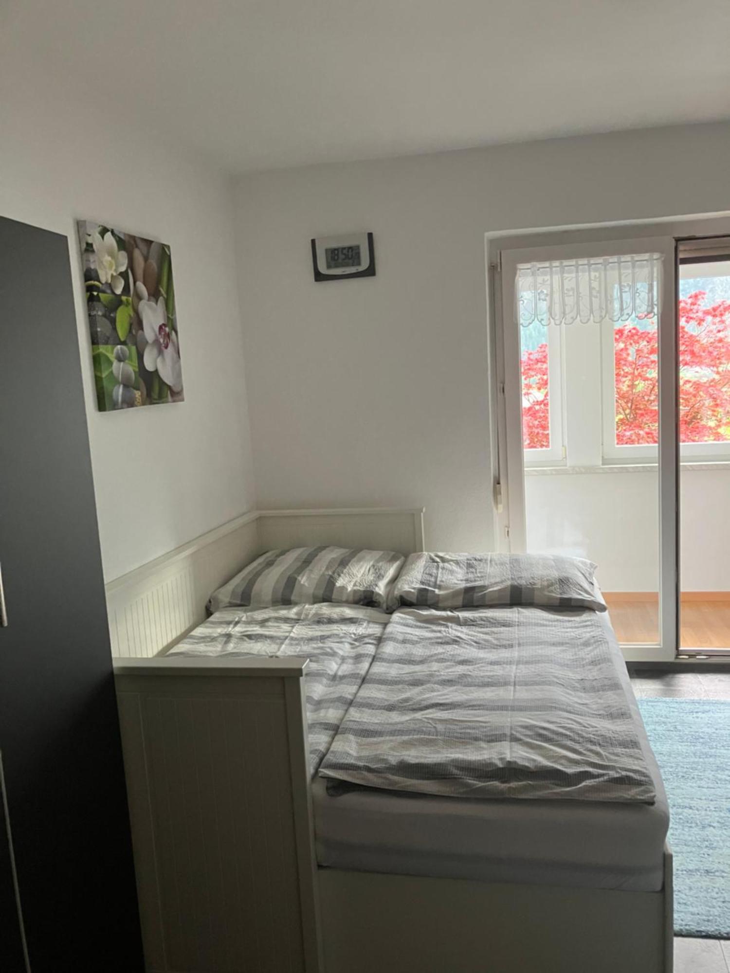 באד גויסרן Ferienwohnung Haus Cerny מראה חיצוני תמונה